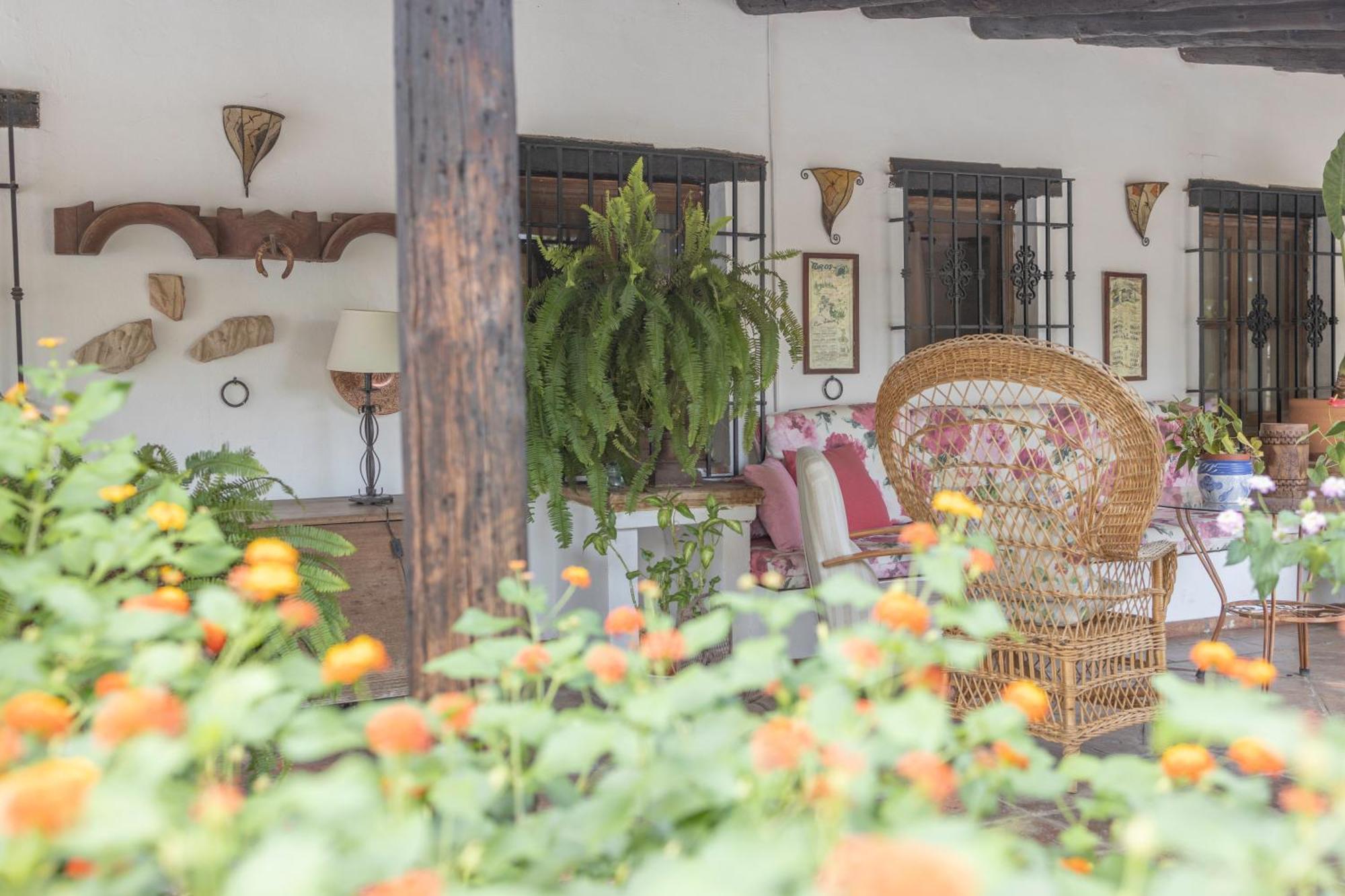 LA CUADRA, Finca privada a los pies de Sierra Nevada, a 10 minutos del centro, Jardín, Barbacoa La Zubia (Granada) Exterior foto