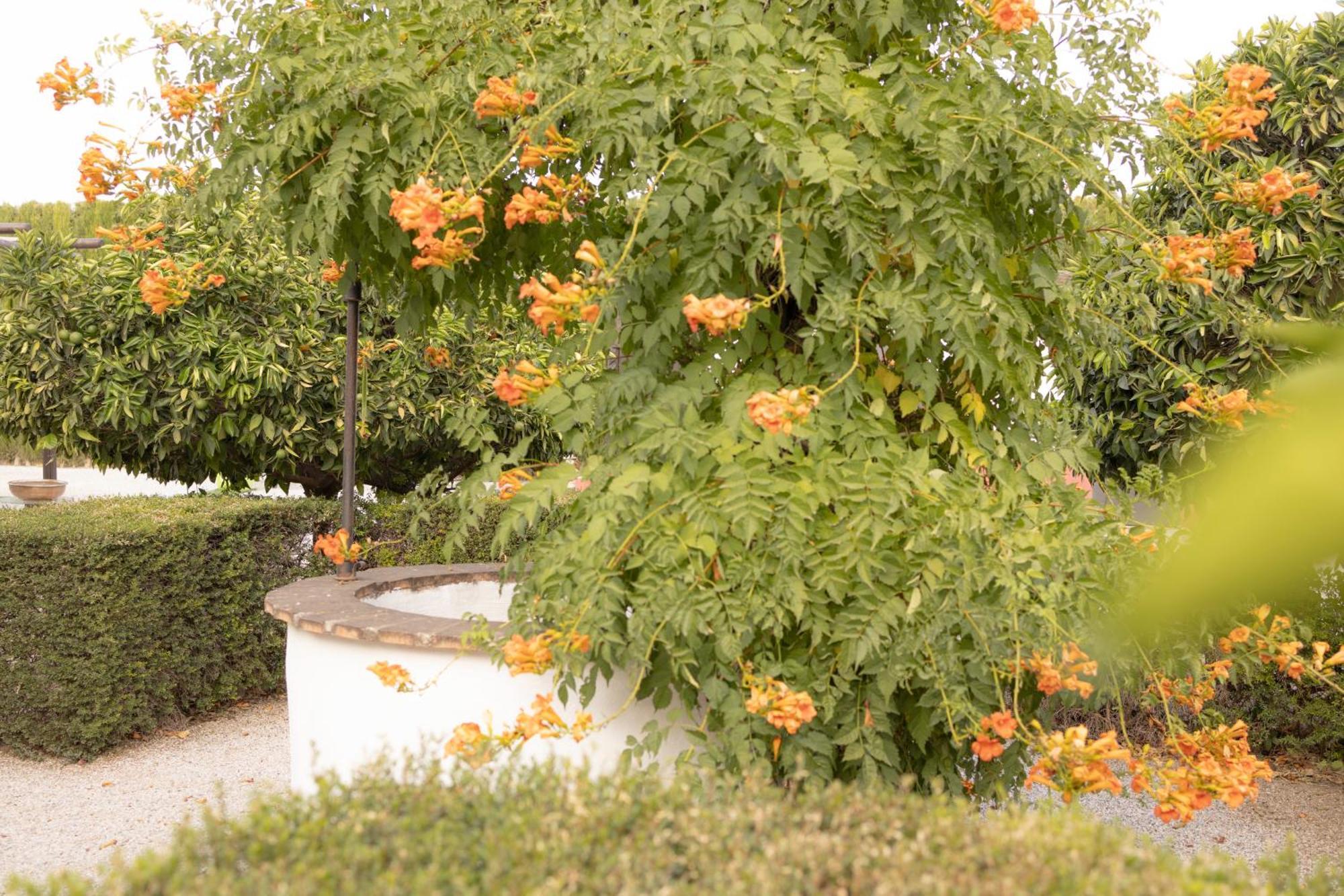 LA CUADRA, Finca privada a los pies de Sierra Nevada, a 10 minutos del centro, Jardín, Barbacoa La Zubia (Granada) Exterior foto