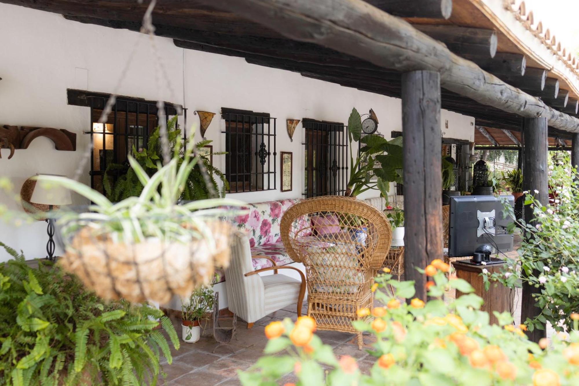 LA CUADRA, Finca privada a los pies de Sierra Nevada, a 10 minutos del centro, Jardín, Barbacoa La Zubia (Granada) Exterior foto