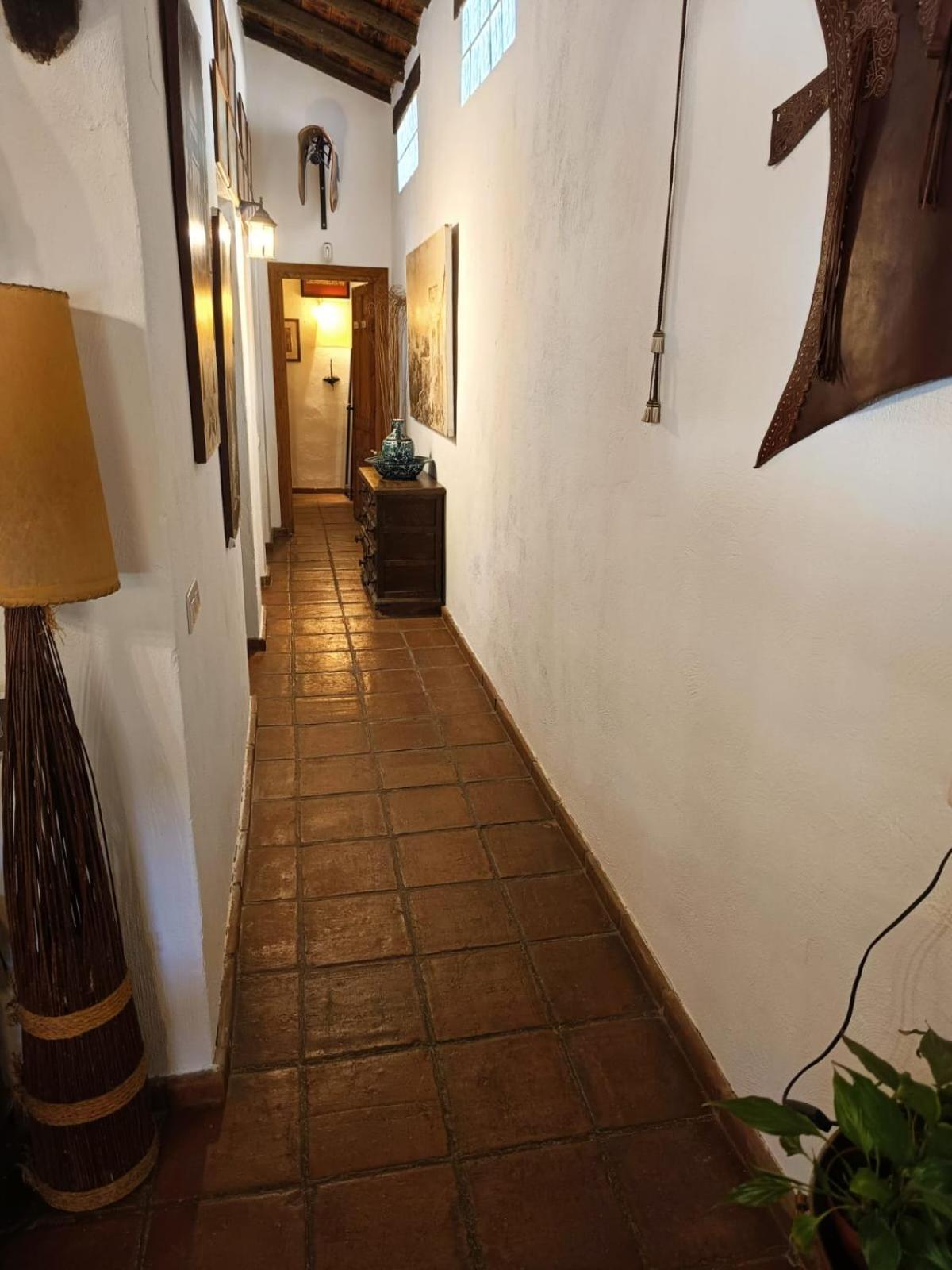 LA CUADRA, Finca privada a los pies de Sierra Nevada, a 10 minutos del centro, Jardín, Barbacoa La Zubia (Granada) Exterior foto